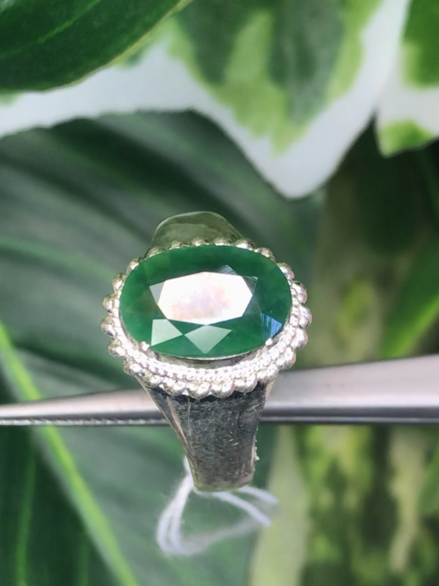 หยก พม่า แท้ Jade แหวนหยก 翡翠戒指 (Jadeite ring) ดิบ (Size) 55 ไม่ผ่านการปรับปรุง (Type A) พม่า (Myanmar)