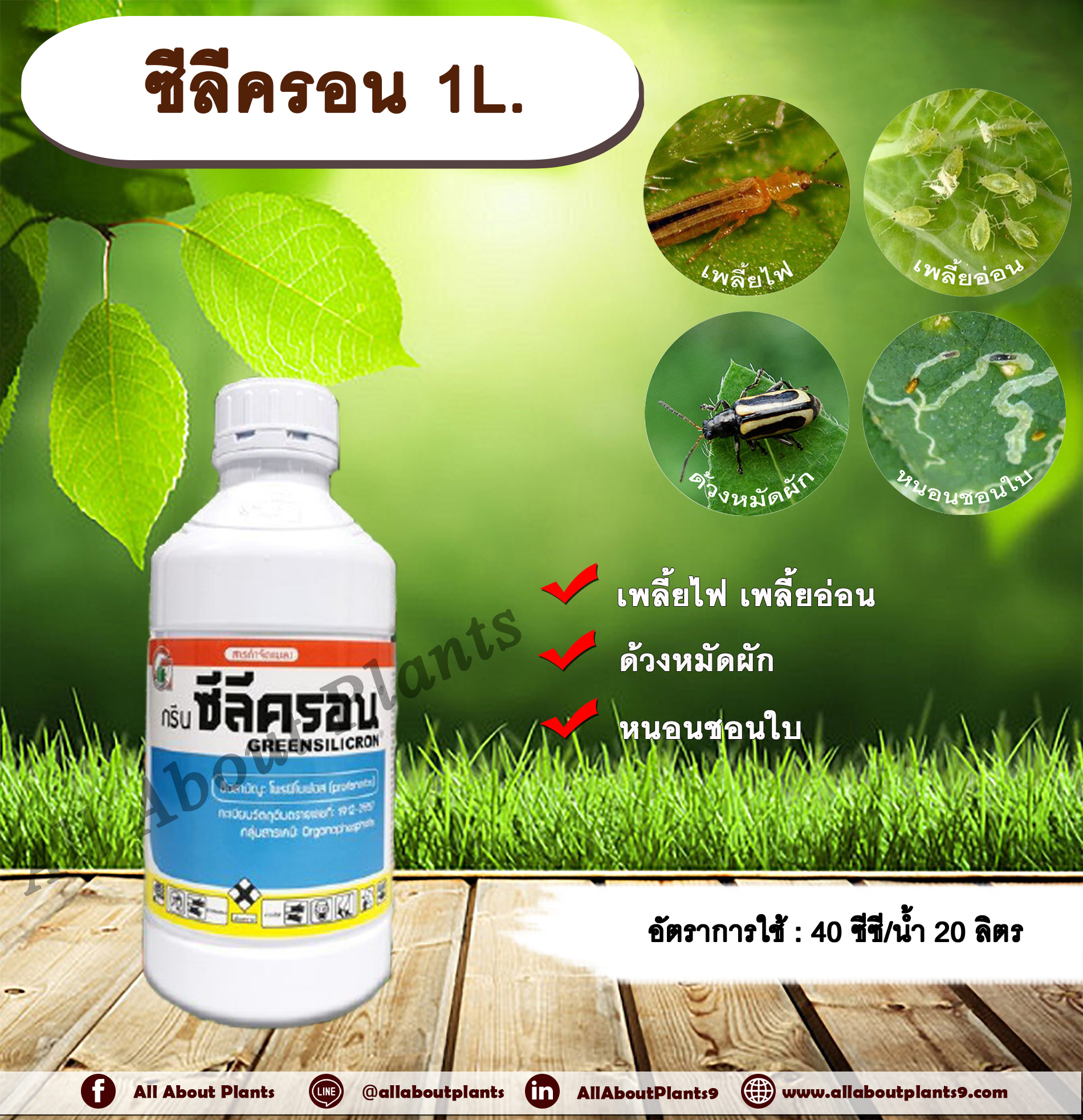 ซีลีครอน 1L. โพรฟีโนฟอส เพลี้ยไฟ เพลี้ยอ่อน ด้วงหมัดผัก หนอนชอนใบ ยาฆ่าเพลี้ย ฆ่าหนอน allaboutplants ชิ้น
