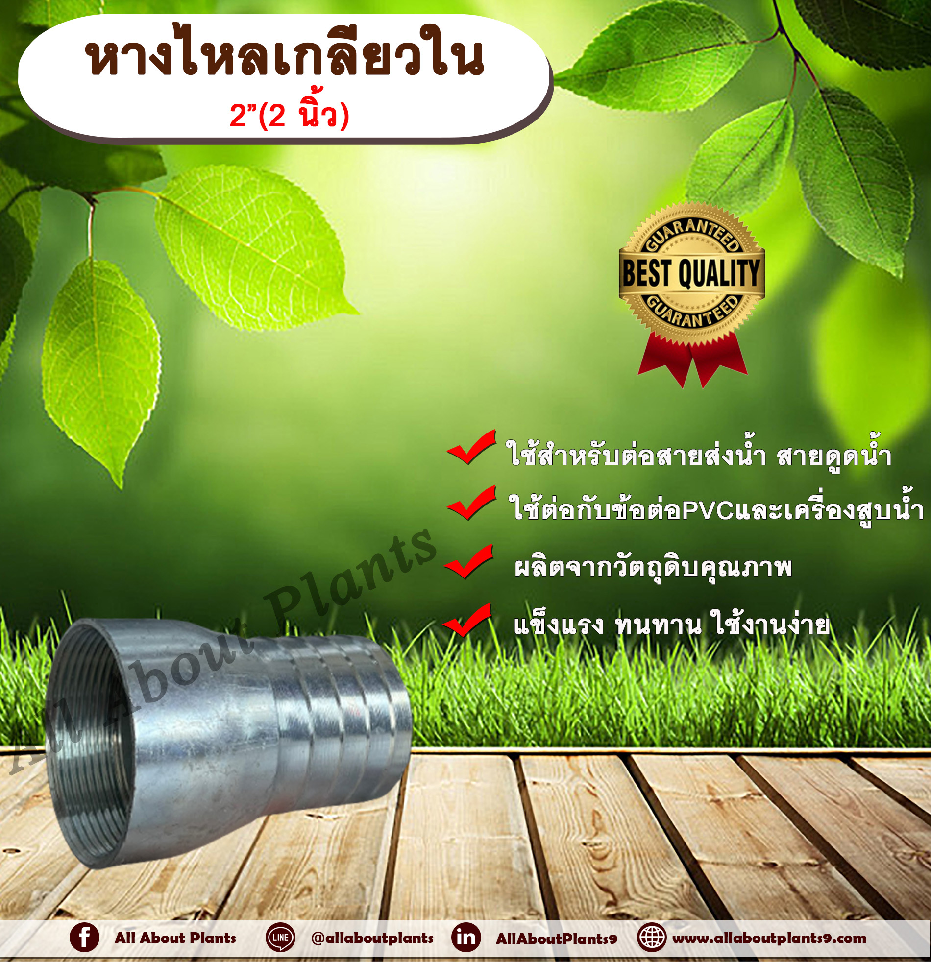 หางไหลเกลียวใน ขนาด 2 นิ้ว(2”) หางไหลข้างเดียว เกลียวใน หางไหลเกลียวใน ข้อต่อสายส่งน้ำ ข้อต่อสายดูดน้ำ ข้อต่อสายส่งน้ำผ้าใบ หางไหล แป๊บรีดเกลียวใน แป๊บเหล็ก แป๊บต่อสายยาง allaboutplants ชิ้น