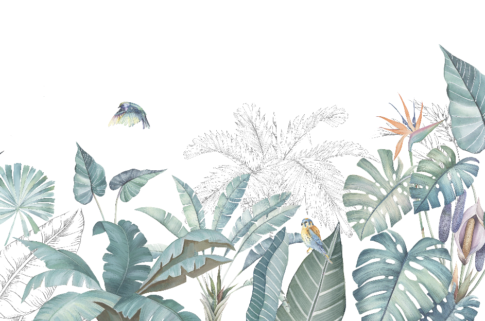 Wallpaper Digital Printing TR24107