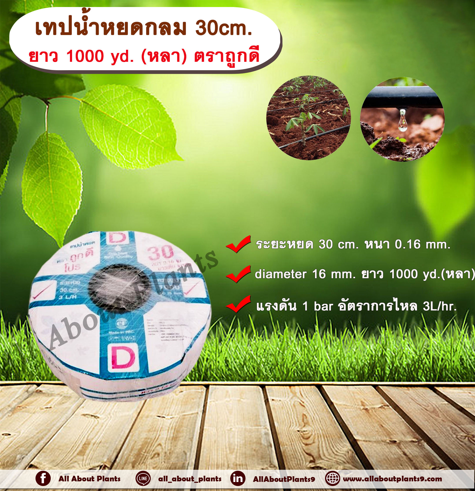 เทปน้ำหยดกลม 30 cm. หนา 0.16 mm ขนาด 16 mm. ยาว 1000 yd.(หลา) ตราถูกดี เทปน้ำหยด สายน้ำหยด แบบกลม แบบกิ๊ป ระยะห่างรู 30 cm. หนา 0.16 mm. ยาว 1000 yd.(หลา) Drip Tape ม้วน