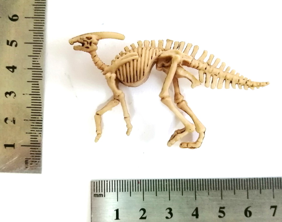 ตุ๊กตายางโครงกระดูกไดโนเสาร์ เป็นงานไขตู้แคปซูล ขายพร้อมกันสองแบบ 1.โครงกระดูกช้างแมมมอส และ 2.อแนทธอซอรัส เป็นยางยืดหนุ่นได้ ไม่ต้องกลัวหัก ลงสีเหมือนฟอสซิลโครงกระดูก ขายคู่