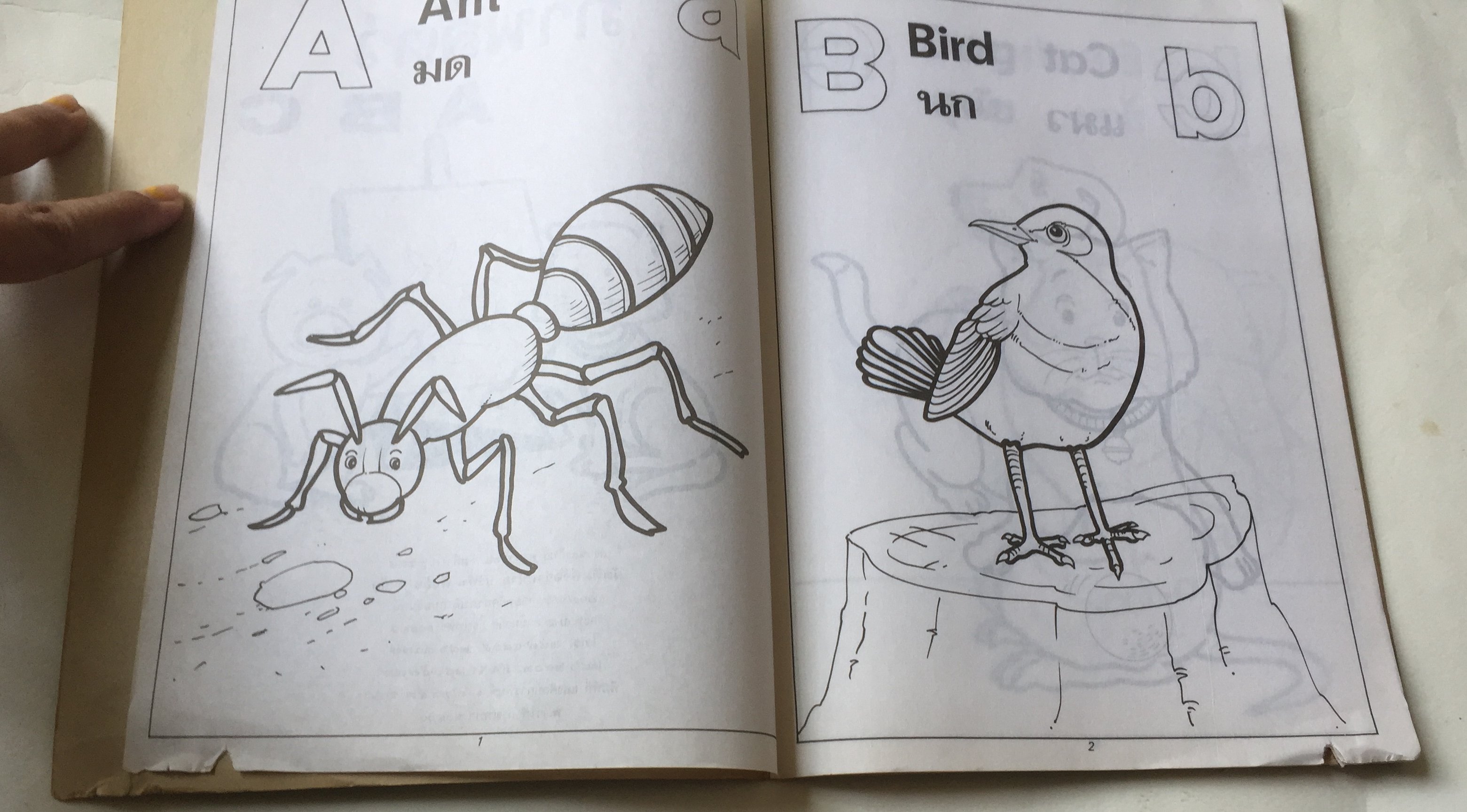 หนังสือเก่า ภาพสัตว์ A B C โดย ต้นอ้อ ***มีตำหนิตามภาพ มีเขียนชื่อ JARUPONG ราคาปก 10 บาท