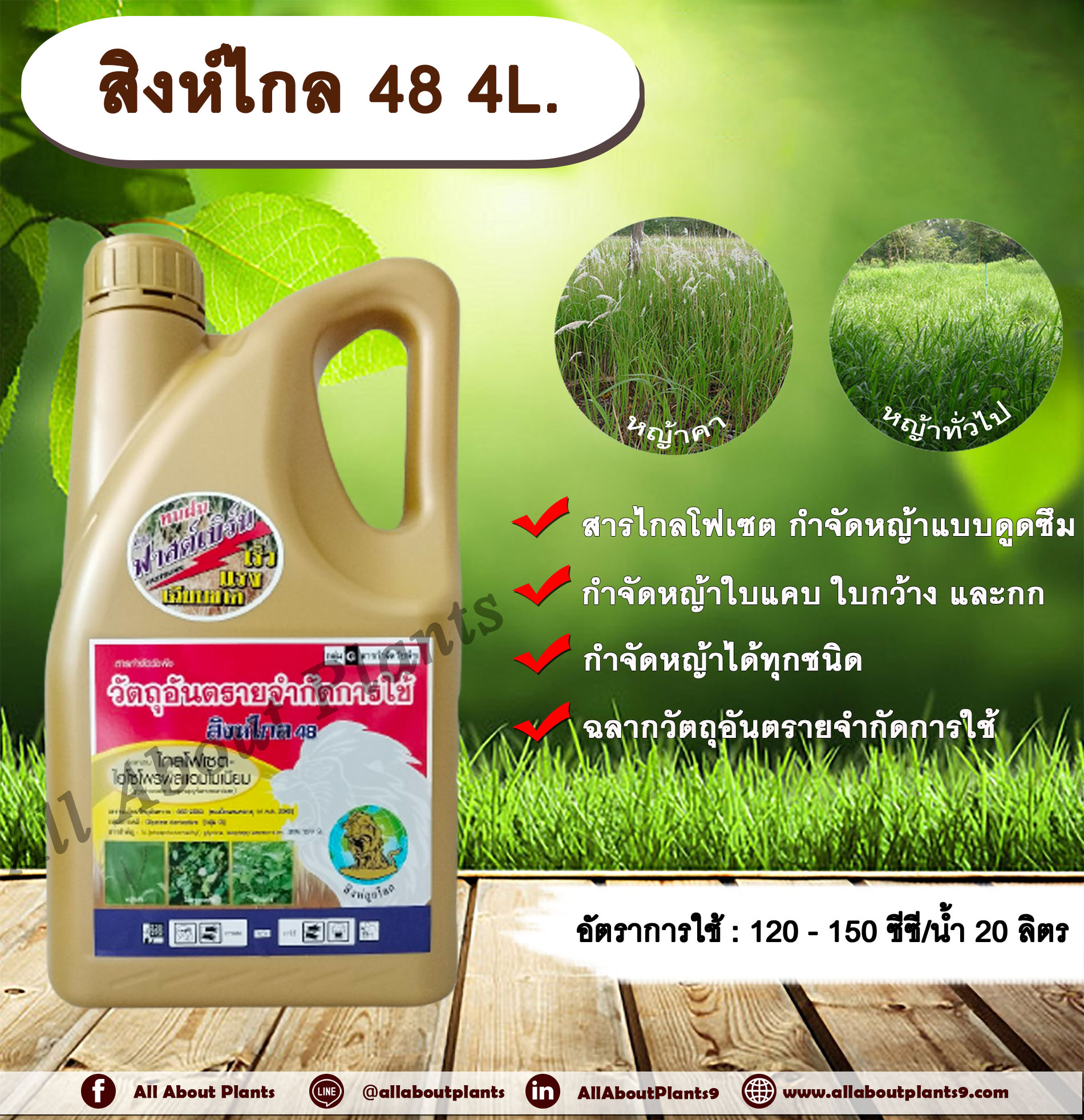 สิงห์ไกล 48 4L. ไกลโฟเซต สารกำจัดวัชพืช แบบดูดซึม กำจัดหญ้าทั่วไป หญ้าคา วัชพืชข้ามปี และกก ดูดซึมไม่เลือกทำลาย Glyphosate allaboutplants ชิ้น