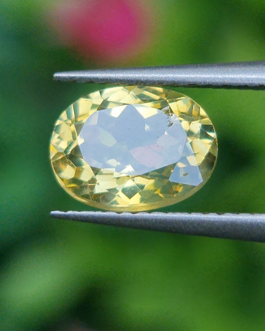 พลอย คริโซเบริล (Chrysoberyl) 1.23 กะรัต (Cts.) พลอยแท้ อัญมณีมงคลประจําวันเกิด เครื่องประดับพลอย