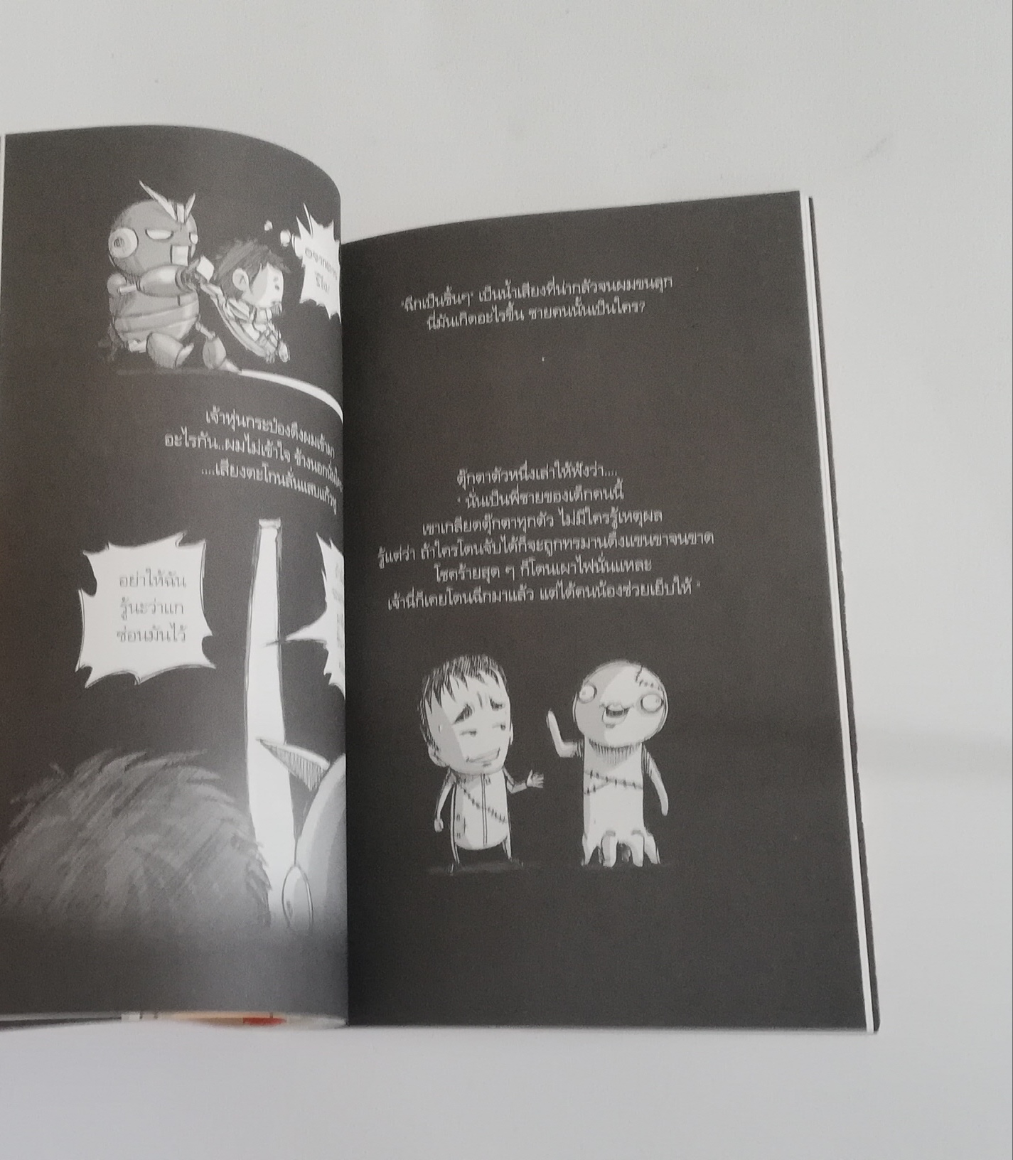 มีหลายภาพหนังสือปกมีตำหนิโปรดตรวจสอบทุกภาพ, หนังสือการ์ตูนจากเดอะดวง เด็กชายตุ๊กตา พิมพ์ครั้งที่ 3 กุมภาพันธ์ 2553 เรื่องและภาพโดยเดอะดวง