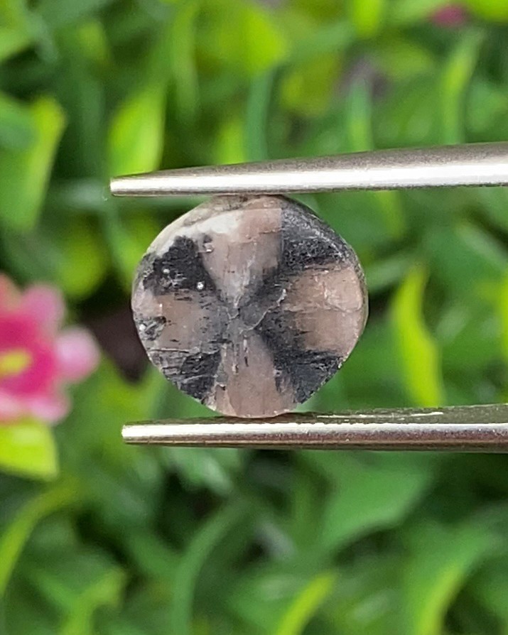 ไคแอสโทไลต์ Chiastolite 3.71 กะรัต (Cts.) พร้อมใบเซอร์ พลอยแท้ อัญมณีมงคลประจําวันเกิด เครื่องประดับพลอย