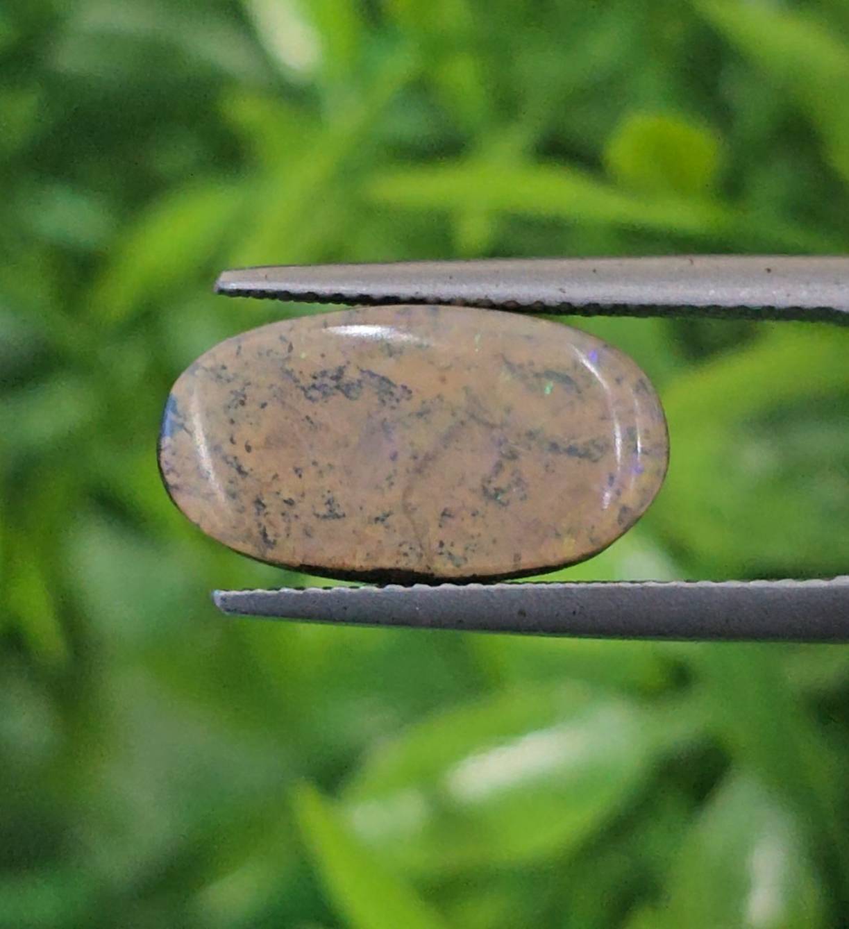 พลอย โบลเดอร์ โอปอล ออสเตรเลีย Australian Boulder Opal 7.18 กะรัต (Cts.) พลอยแท้ อัญมณีมงคลประจําวันเกิด เครื่องประดับพลอย