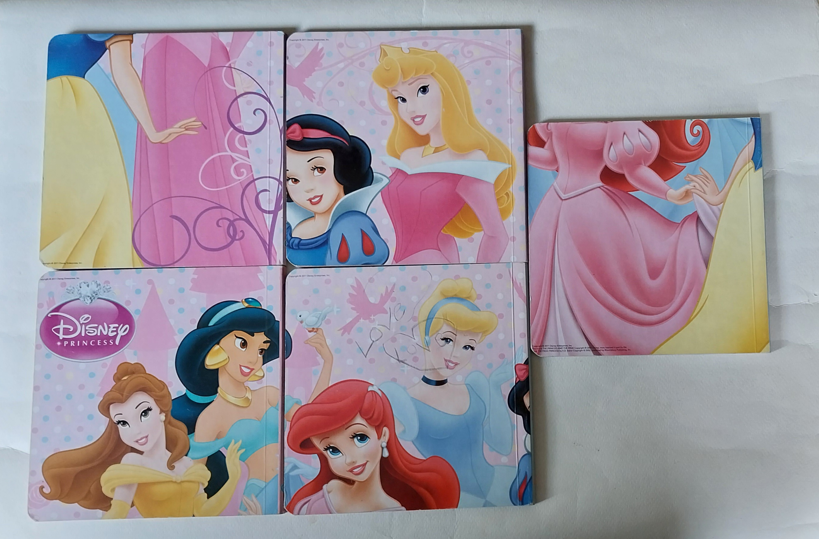 หนังสือภาพสวยเจ้าหญิงดิสนีย์สำหรับสะสม (ปกราพันเซล มีตำหนิ)เจ้าหญิงดิสนีย์5 เล่ม :สโนไวท์, เงือกน้อยแอเรี่ยล,ราปุนเซล(ราพันเซล),,ออโรร่า เจ้าหญิงนิทรา, เทียน่า เจ้าหญิงกบขนาดเล็ก ประมาณ 6 x 6 นิ้ว เป็นหนังสือภาษาอังกฤษ สำหรับเด็กเพื่อการเรียนรู้