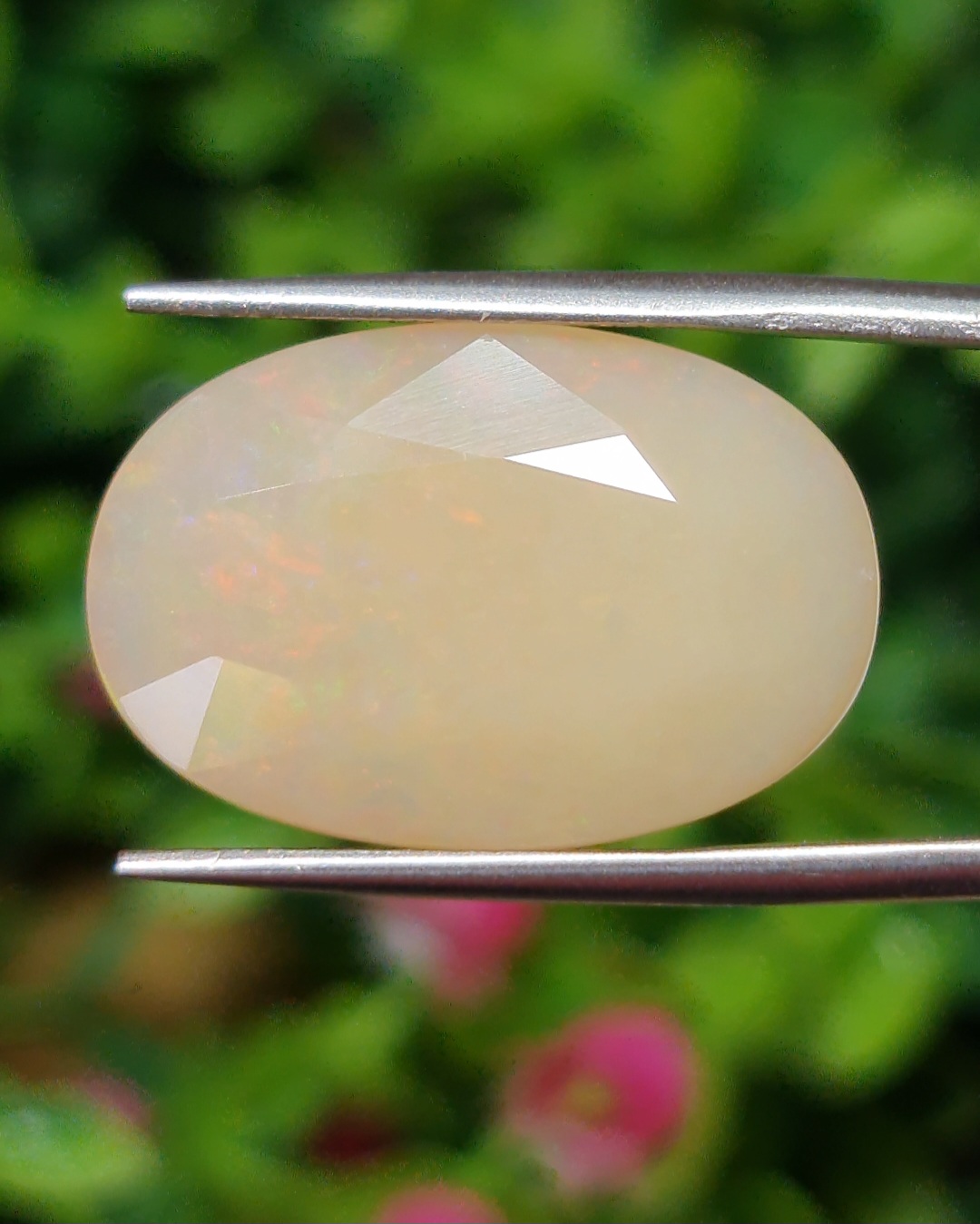 พลอย ไวท์ โอปอล White Opal 12.80 กะรัต (Cts.) พลอยแท้ อัญมณีมงคลประจําวันเกิด เครื่องประดับพลอย