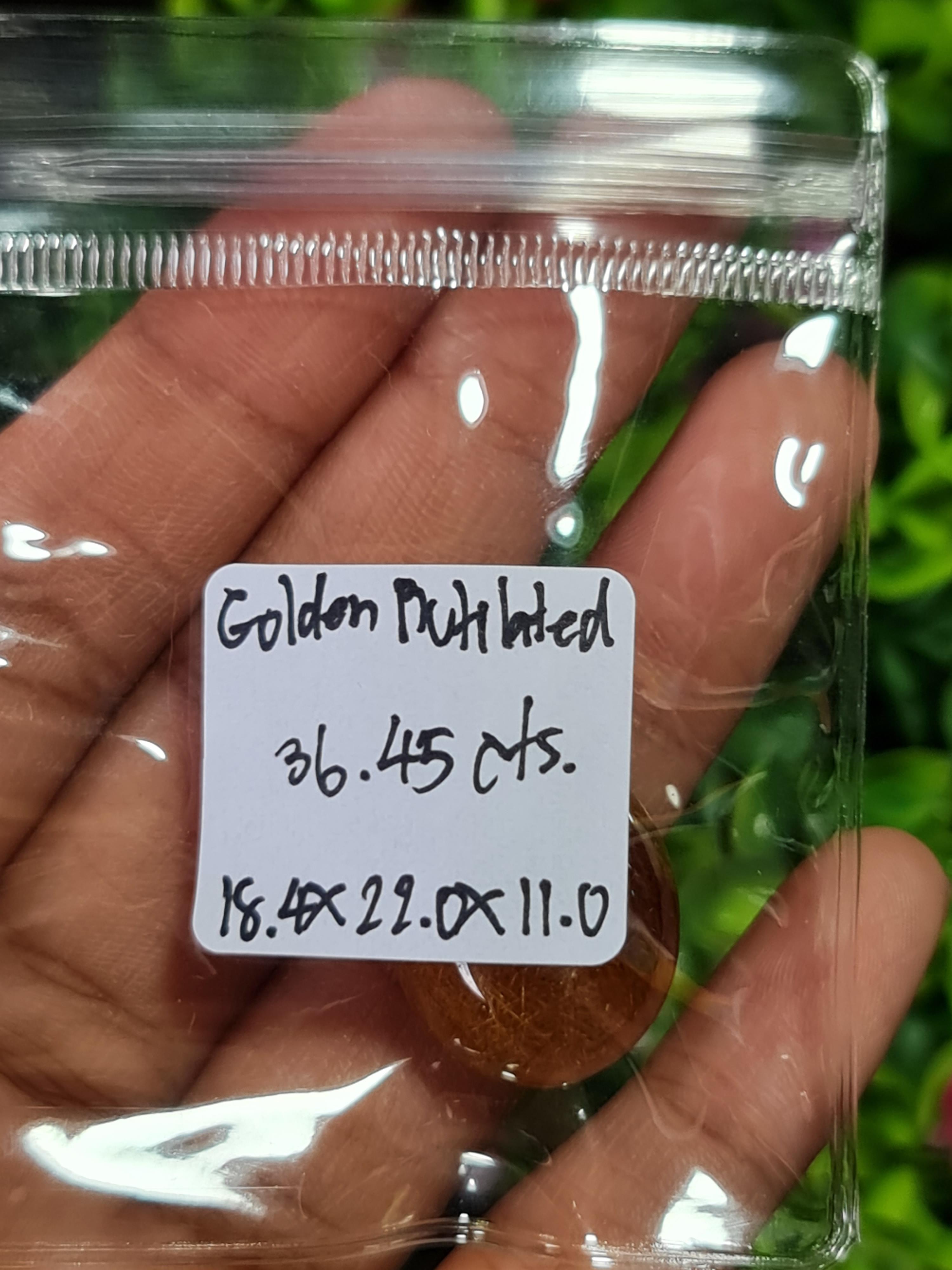 ไหมทอง ควอตซ์ Golden Rutilated Quartz 36.45 กะรัต Cts.พลอยแท้ อัญมณีมงคลประจําวันเกิด เครื่องประดับพลอย