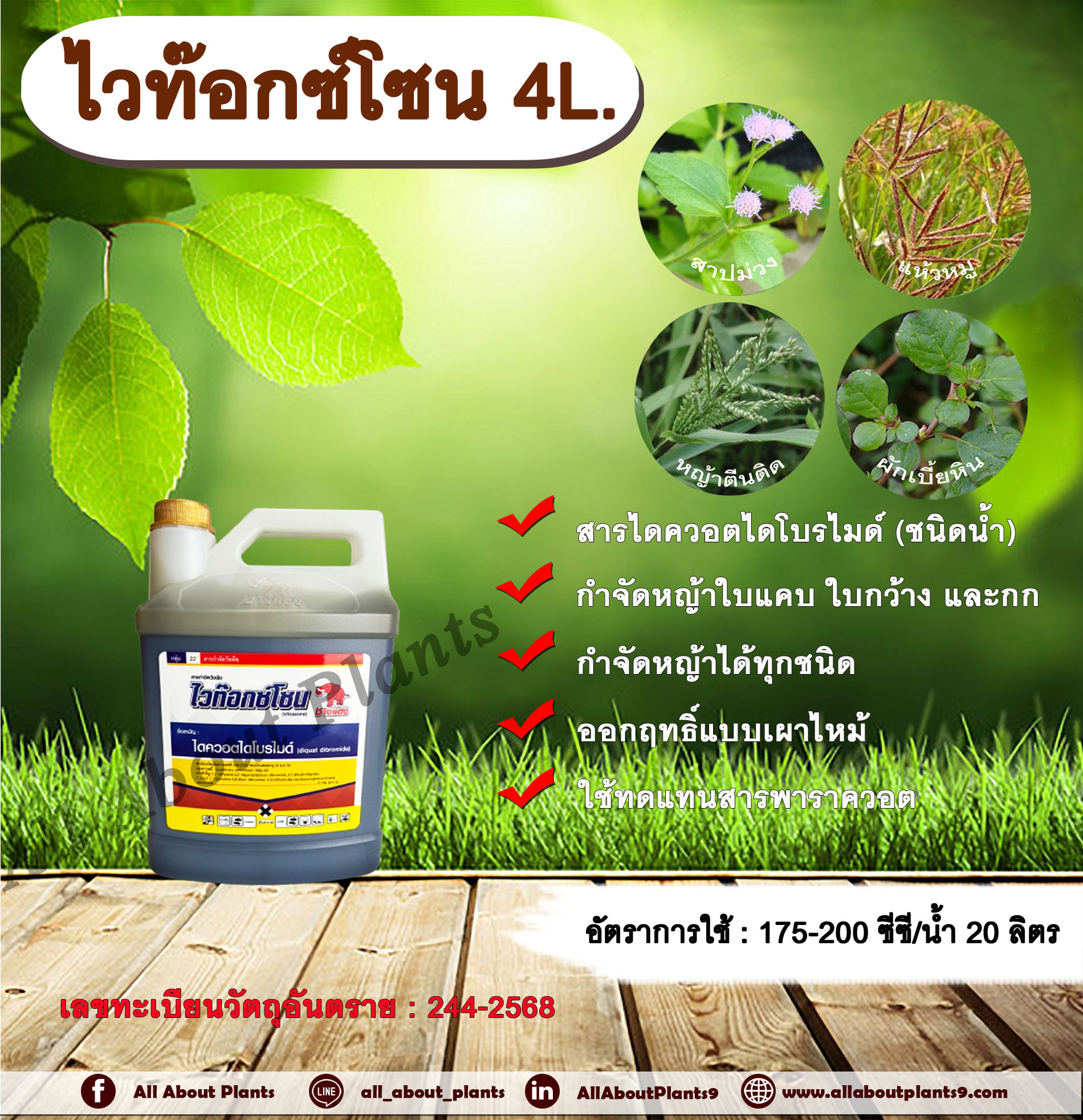 ไวท๊อกซ์โซน 4L. สารไดควอตไดโบรไมด์ สารกำจัดวัชพืช กำจัดหญ้าใบแคบ ใบกว้าง กก หญ้าทุกชนิด ออกฤทธิ์แบบเผาไหม้ ไวท๊อกซ์โซนช้างแดง กระติก