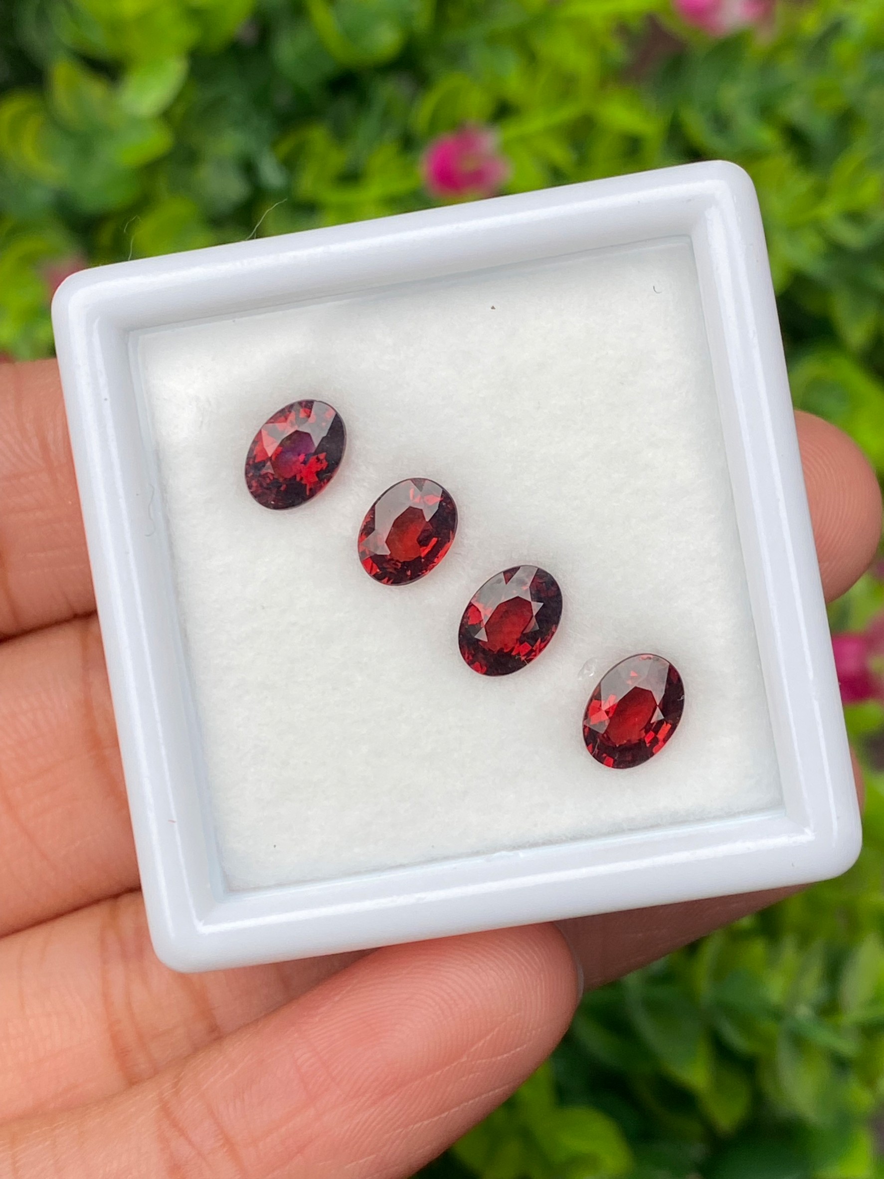 พลอย โรโดไลต์ กาเน็ท Rhodolite Garnet 4.00 กะรัต Cts. 4 เม็ด Pcs. พลอยแท้ อัญมณีมงคลประจําวันเกิด เครื่องประดับพลอย