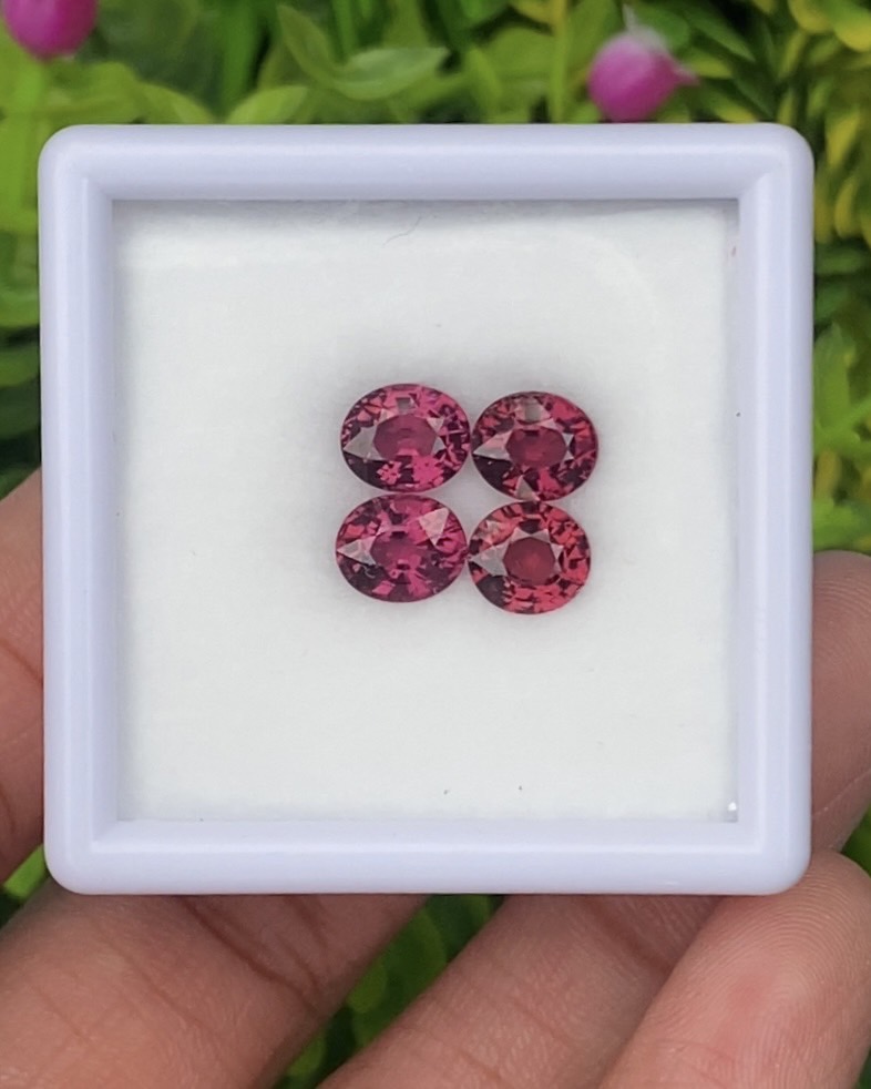 พลอย โรโดไลต์ การ์เน็ท Rhodolite Garnet 5.30 Cts. 4 เม็ด (Pcs.) พลอยแท้ อัญมณีมงคลประจําวันเกิด เครื่องประดับพลอย