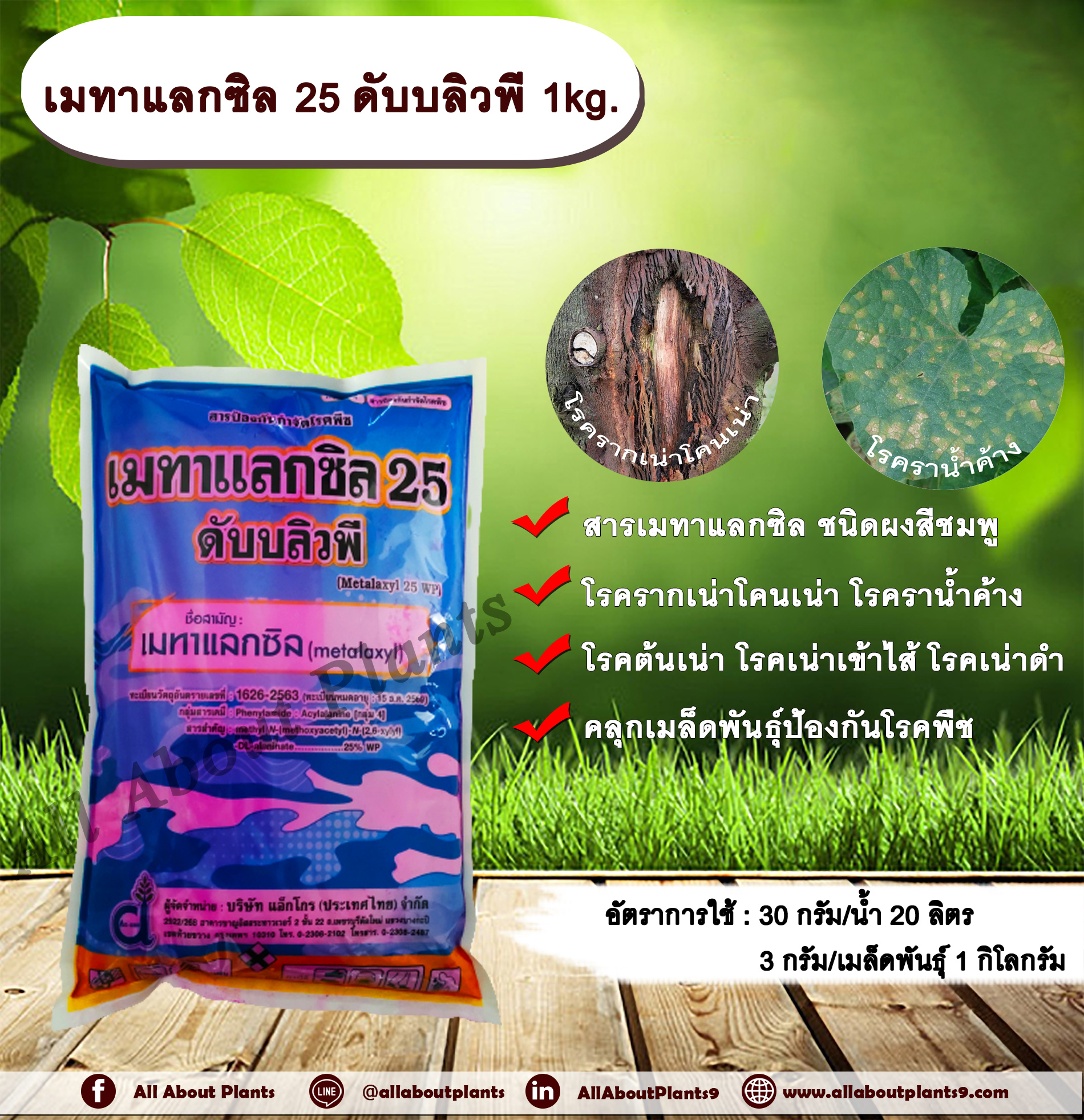 เมทาแลกซิล 25 ดับบลิวพี 1kg. เมทาแลกซิล โรครากเน่าโคนเน่า โรคราน้ำค้าง โรคต้นเน่า โรคเน่าเข้าไส้ โรคเน่าดำ ชิ้น