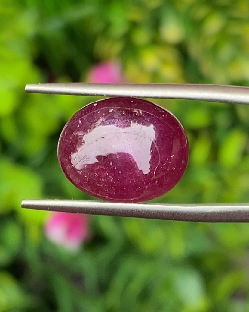 พลอย ทับทิม (Ruby Sapphire) 10.34 กะรัต (Cts.) พลอยแท้ อัญมณีมงคลประจําวันเกิด เครื่องประดับพลอย