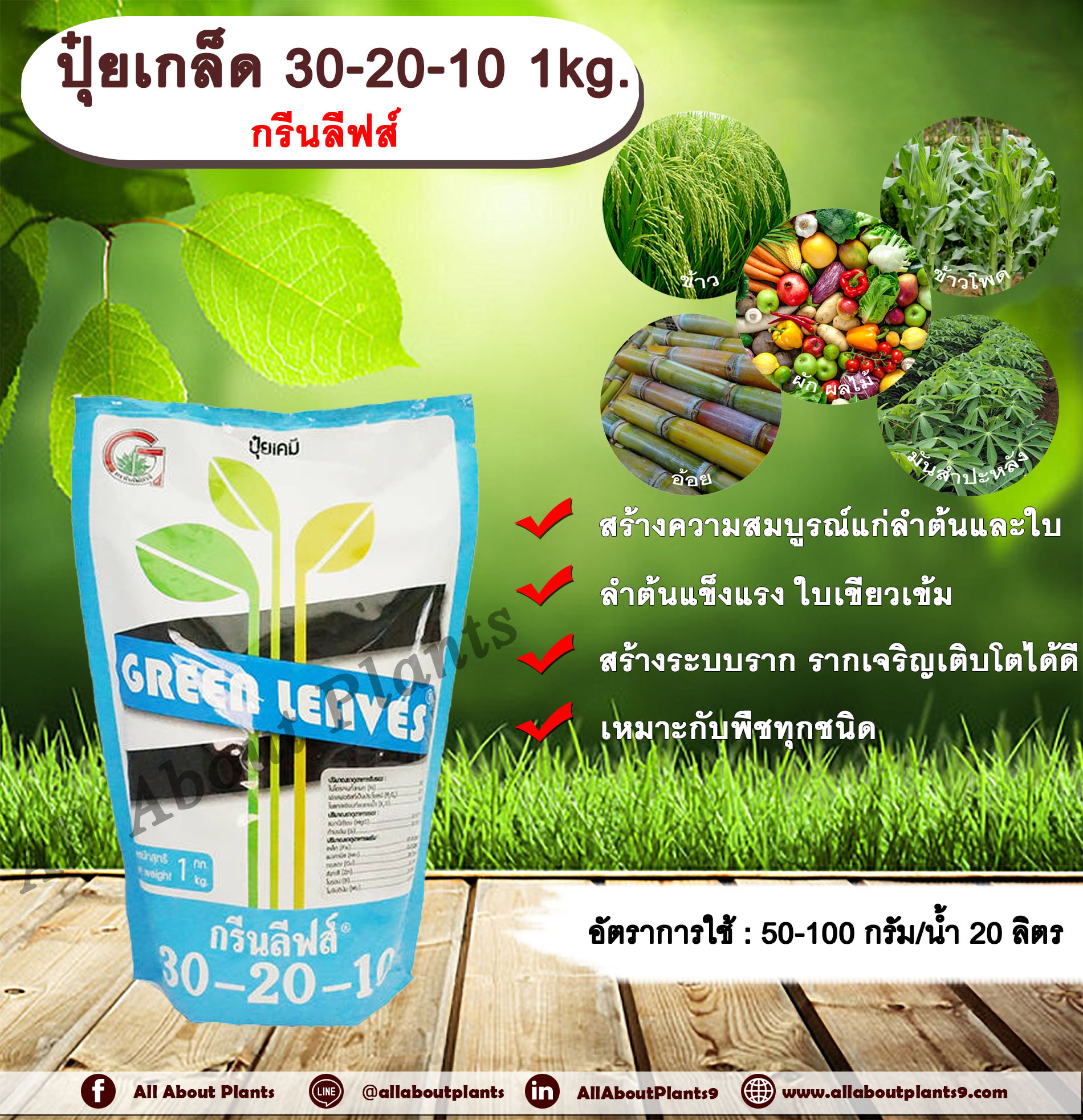 ปุ๋ยเกล็ด กรีนลีฟส์ สูตร 30-20-10 1kg. ปุ๋ยเกล็ดฉีดพ่นทางใบ เร่งต้น เร่งโต เร่งใบ ฟื้นสภาพต้นหลังเก็บเกี่ยว ปุ๋ยผง NPK allaboutplants ชิ้น