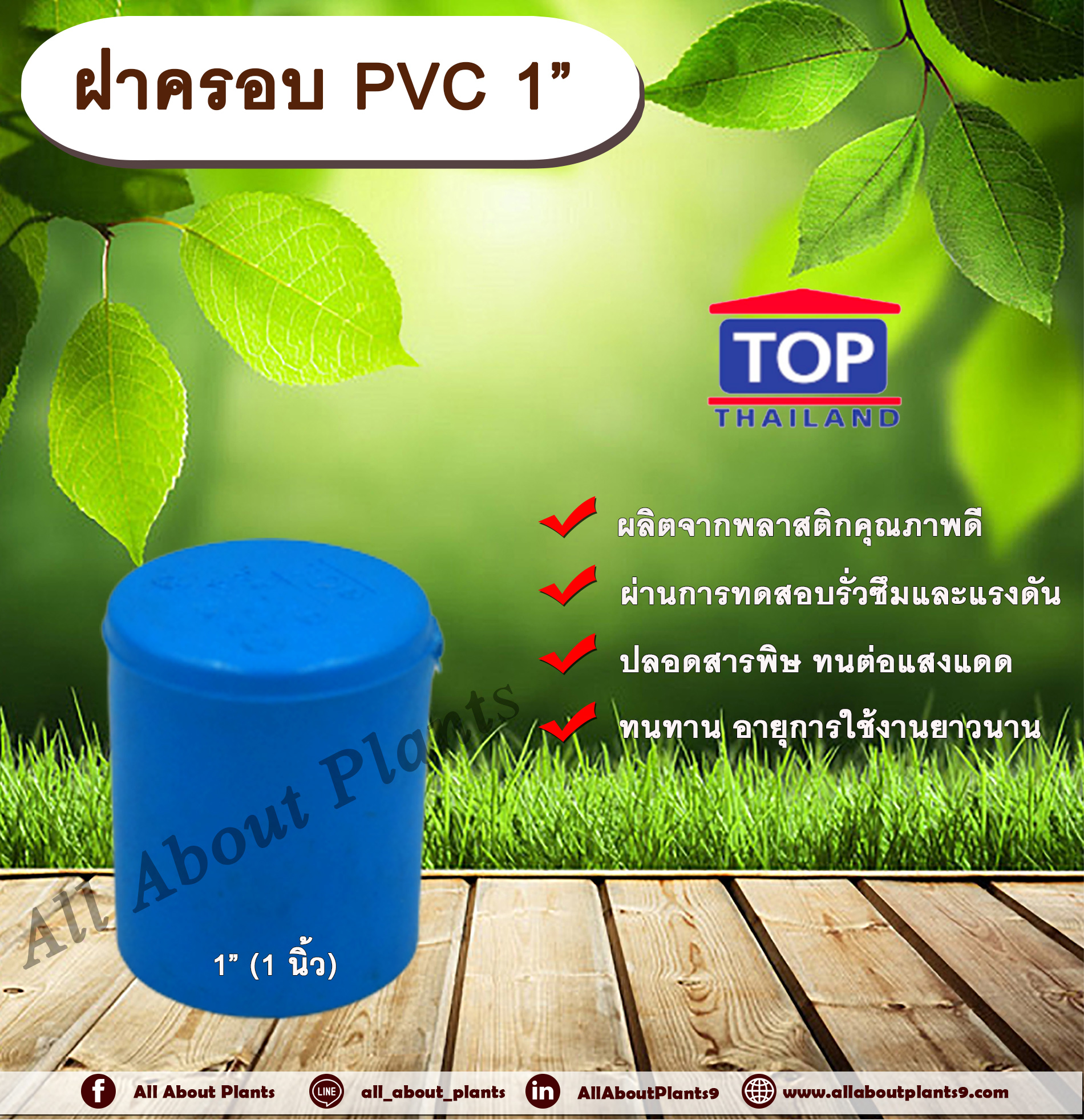 ฝาครอบ PVC ตรา TOP 1”(1นิ้ว) ฝาครอบท่อPVC ขนาด 1นิ้ว ตัวอุดท่อ ฝาปิดท่อพีวีซี allaboutplnats ชิ้น