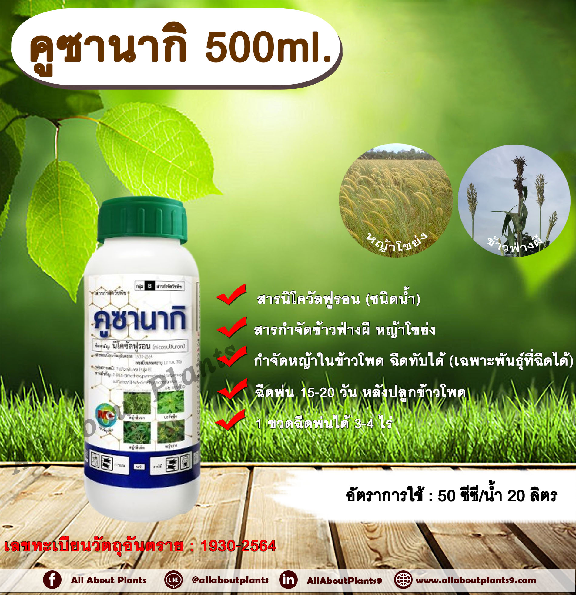 คูซานากิ 500ml. สารนิโคซัลฟูรอน สารกำจัดวัชพืช กำจัดหญ้า ในข้าวโพด กำจัดข้าวฟ่างผี หญ้าโขย่ง หญ้าปากควาย หญ้าตีนติด หญ้าตีนกา ขวด