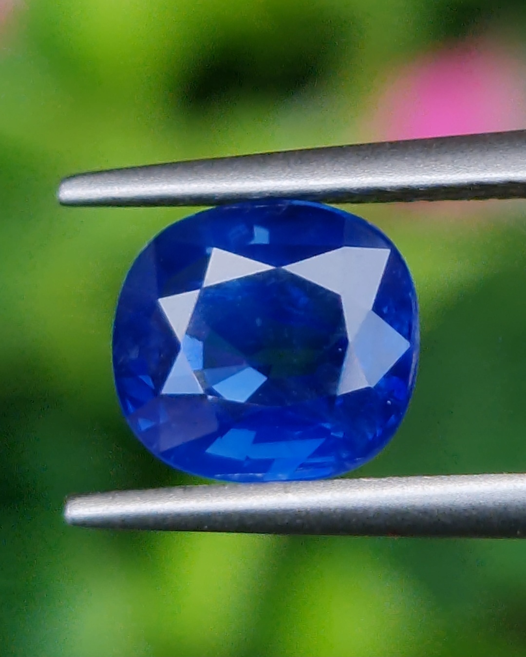 พลอย ไพลิน (Blue Sapphire) 1.61 กะรัต (Cts.) ดิบ (Unheated) สีพิเศษ คอนฟลาวเวอร์ บลู (Cornflower Blue) พร้อมใบเซอร์ พลอยแท้ อัญมณีมงคลประจําวันเกิด เครื่องประดับพลอย