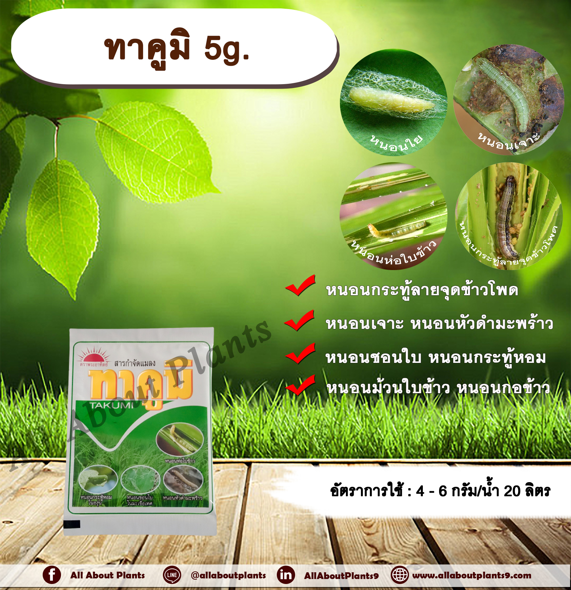 ทาคูมิ 5g. ฟลูเบนไดอะไมด์ สารกำจัดแมลง หนอนใย หนอนชอนใบ หนอนกระทู้ลายจุดข้าวโพด หนอนเจาะ กำจัดหนอน ดูดซึม ทีเจซี allaboutplants ชิ้น