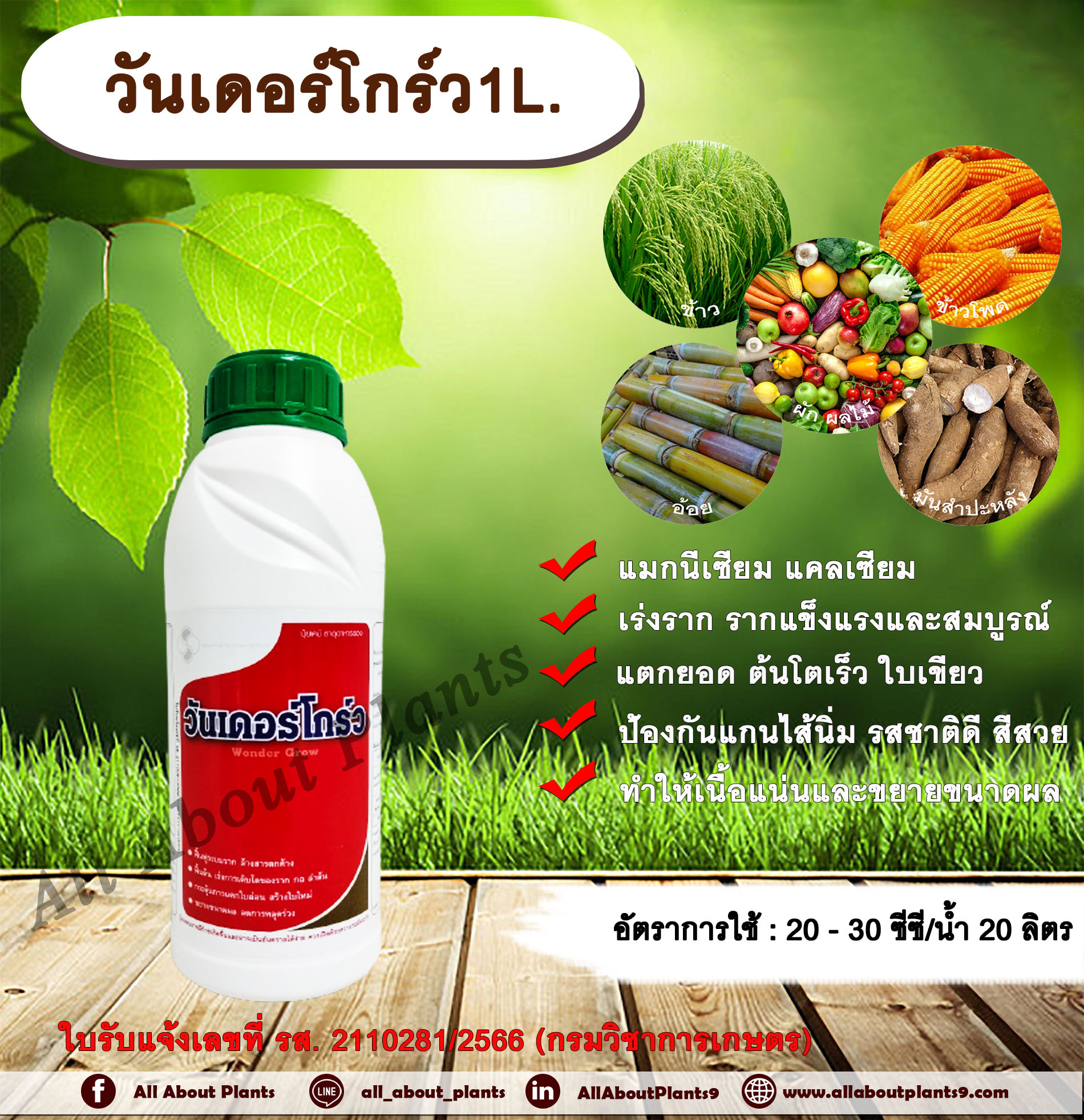 วันเดอร์โกร์ว 1L. แมกนีเซียม แคลเซียม เร่งราก รากแตกเยอะ ใบเขียว ขยายราก allaboutplants ชิ้น