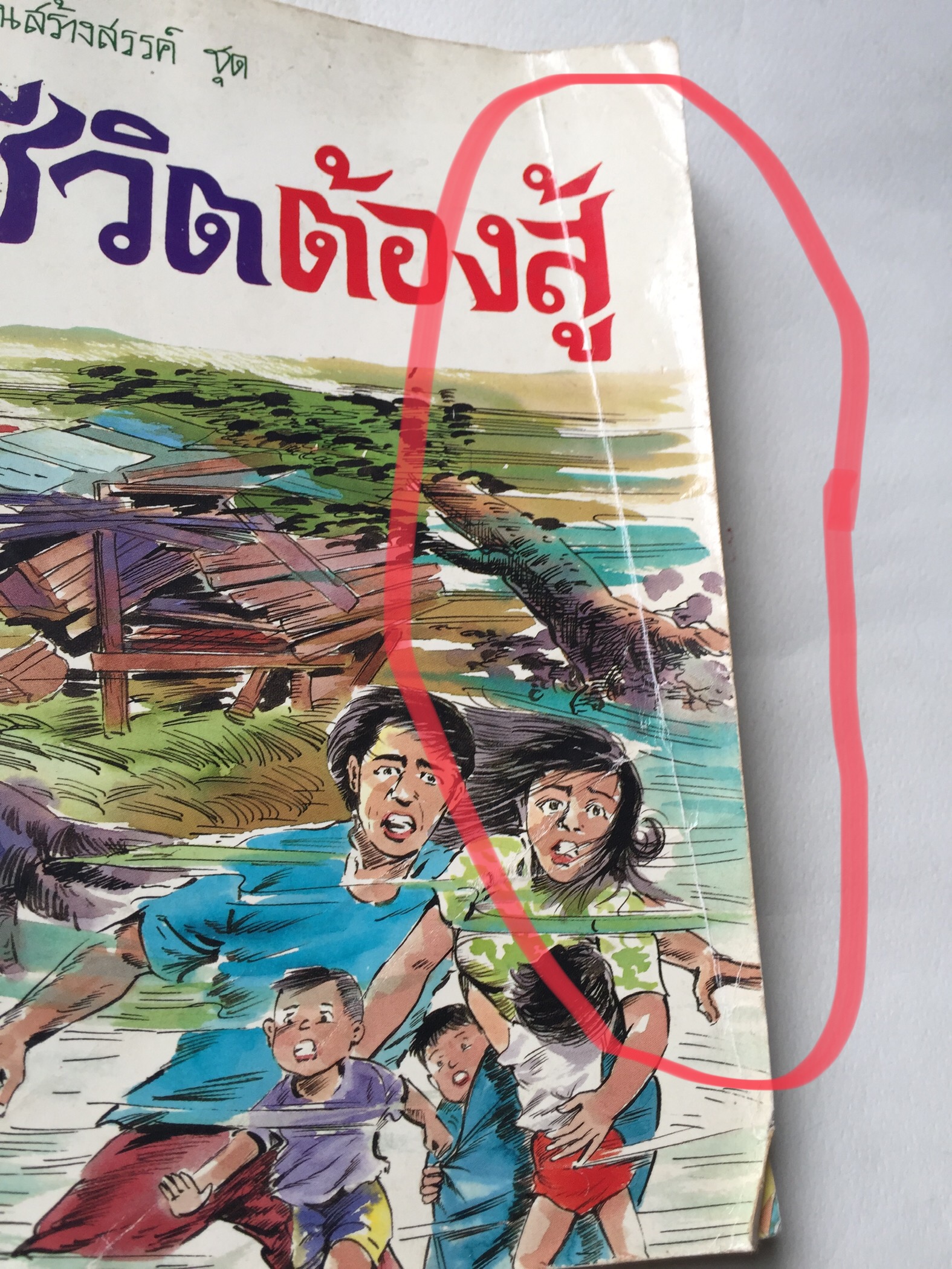 หนังสือเก่ามีตำหนิตามภาพ, หนังสือภาพวาดการ์ตูนสีทั้งเล่ม การ์ตูนสร้างสรรค์ชุด ชีวิตต้องสู้ เล่ม 2 พิมพ์ครั้งที่ 1 ปี 2534 ที่ปรึกษา นายมะเดื่อ เสมา, เขียนภาพโดย ดิลก
