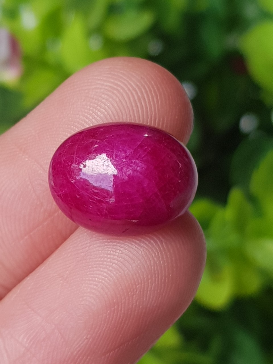 พลอย ทับทิม (Ruby Sapphire) 11.35 กะรัต (Cts.) พลอยแท้ อัญมณีมงคลประจําวันเกิด เครื่องประดับพลอย