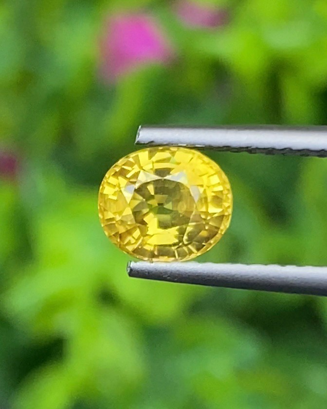 พลอย บุษราคัม Yellow Sapphire 1.43 กะรัต (Cts.) พลอยแท้ อัญมณีมงคลประจําวันเกิด เครื่องประดับพลอย