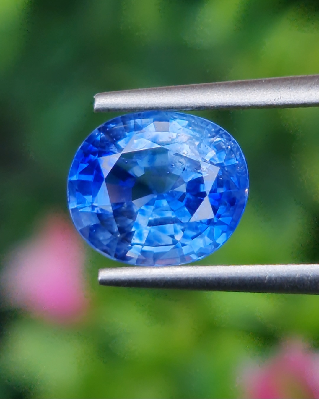 พลอย ไพลิน Blue Sapphire 2.48 กะรัต (Cts.) พร้อมใบเซอร์ พลอยแท้ อัญมณีมงคลประจําวันเกิด เครื่องประดับพลอย