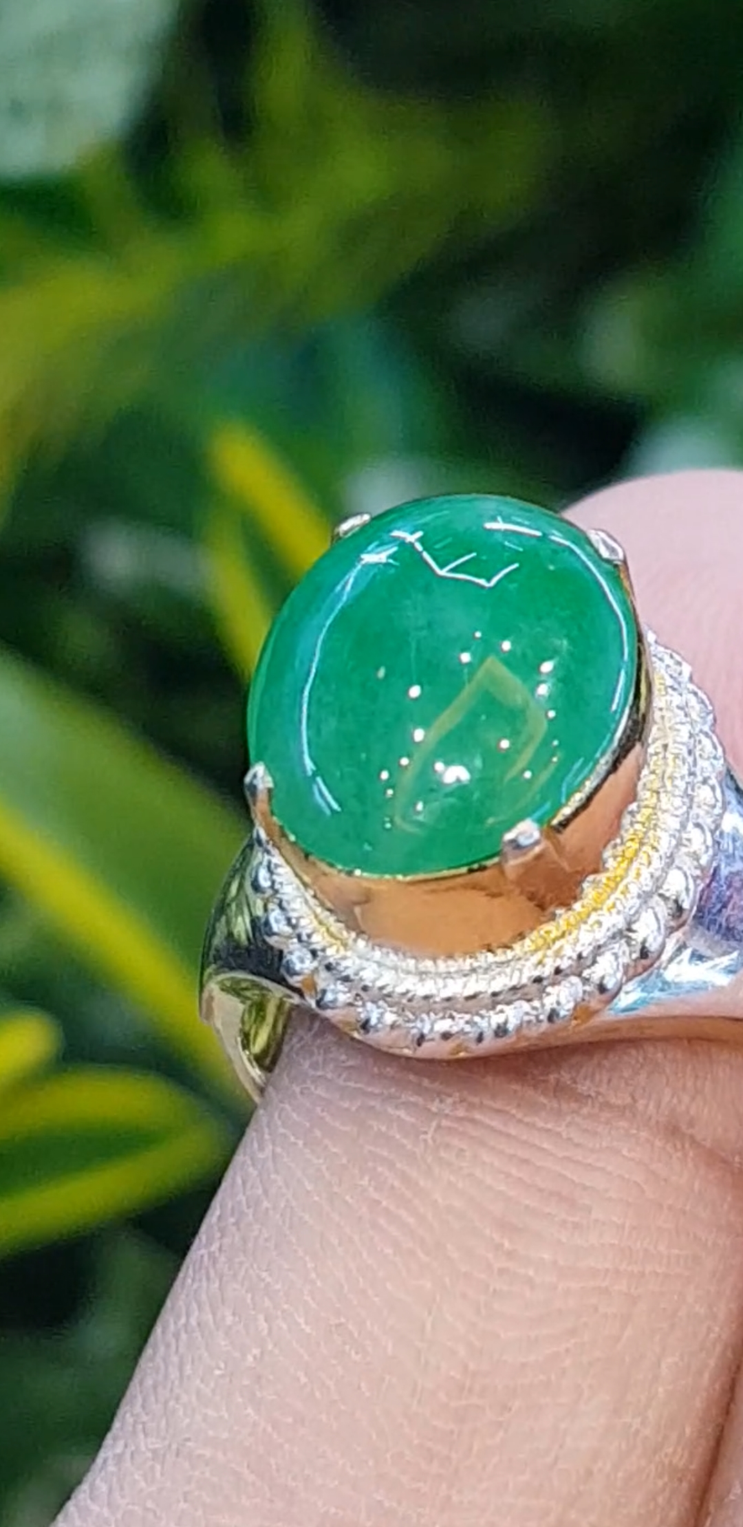 หยก พม่า แท้ Jade แหวนหยก 翡翠戒指 (Jadeite ring) 3.12 กะรัต (Cts.) ดิบ ไม่ผ่านการปรับปรุง (Type A) พม่า (Myanmar)