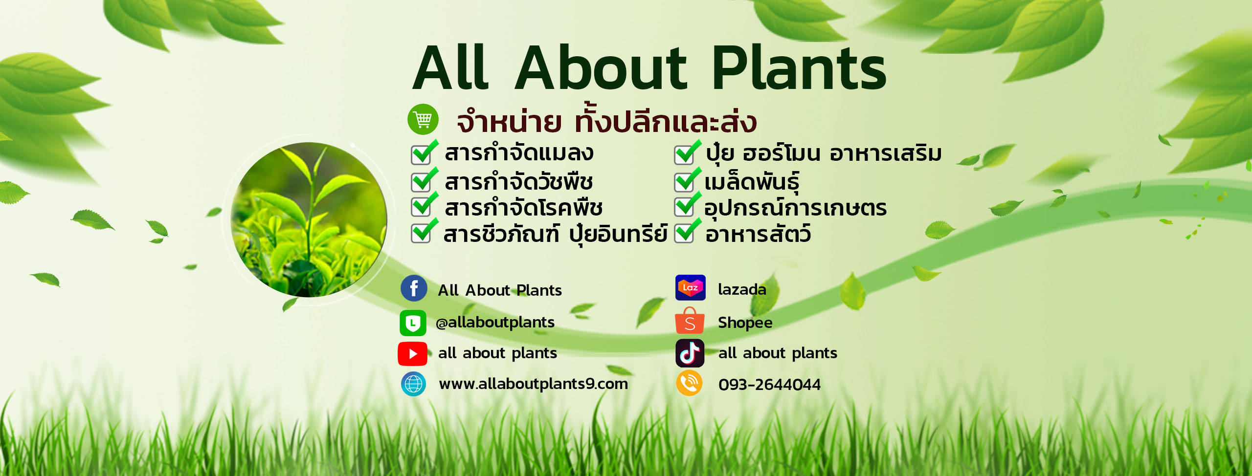 All About Plants