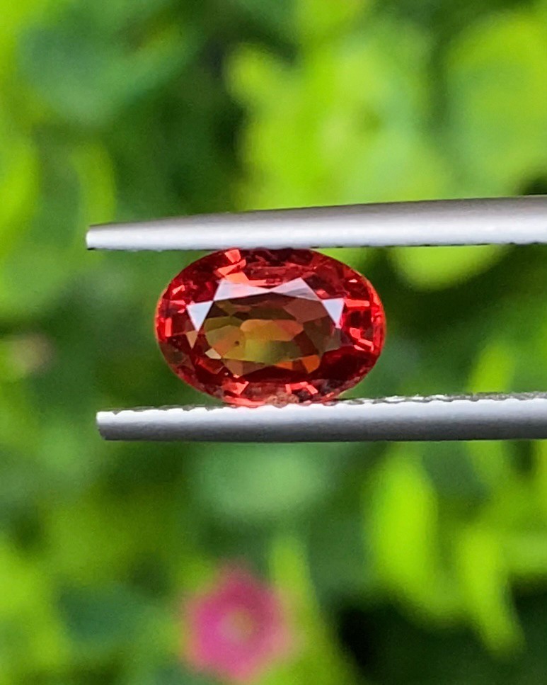 พลอย ทับทิม ซองเจีย (Songea Ruby Sapphire) 1.42 กะรัต (Cts.) พร้อมใบเซอร์ พลอยแท้ อัญมณีมงคลประจําวันเกิด เครื่องประดับพลอย