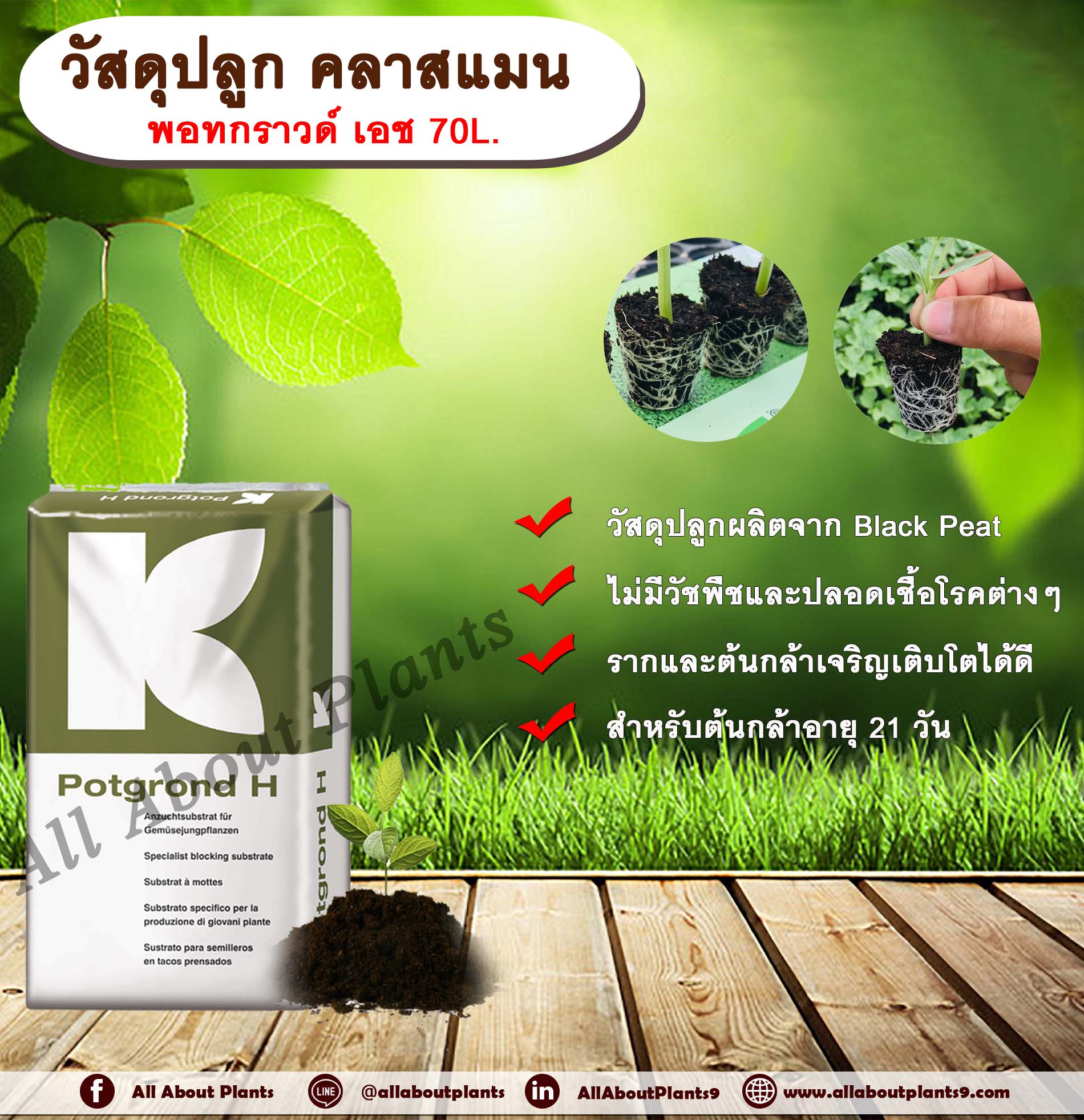 วัสดุปลูก คลาสแมน พอทกราวด์ เอช 70L. แบล็คพีท พีทมอส ดินเพาะ วัสดุเพาะกล้า ดินเพาะต้นกล้า ดินปลูก (1 คำสั่งซื้อต่อ 1 ออเดอร์) allaboutplants ชิ้น