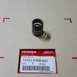 สปริงวาล์ว CZI/เวฟ110ไอ