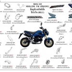 ชุดพลาสติกและเฟรมสี MSX125/E (ปี14)ทุกสี