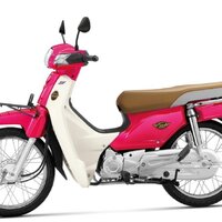 บังโคลนหน้าท่อนหน้าสีชมพู(บานเย็น) ดรีมซุบเปอร์คัพ(ปี15/G)