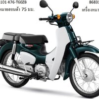 ฝาครอบโช๊คอัพหน้าขวารถสีเขียว-ขาวซุบเปอร์คัพ/J(ปี18)