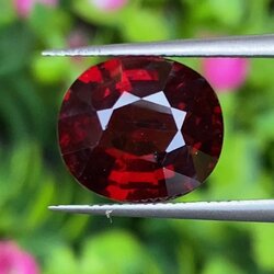พลอย โกเมน Pyrope - Almandite Garnet 6.55 กะรัต (Cts.) พร้อมใบเซอร์ พลอยแท้ อัญมณีมงคลประจําวันเกิด เครื่องประดับพลอย
