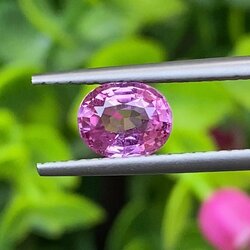 พลอย ชมพู พิ้ง แซฟไฟร์ Pink Sapphire 1.04 กะรัต (Cts.) พลอยแท้ อัญมณีมงคลประจําวันเกิด เครื่องประดับพลอย