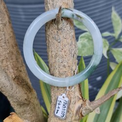 JB6711057 หยก พม่า แท้ Jade กำไลหยก 54.9 มม. (Jadeite bracelet) พม่า (Myanmar)