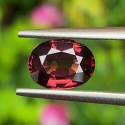 พลอย เพทาย Natural Zircon 1.78 กะรัต (Cts.) พลอยแท้ อัญมณีมงคลประจําวันเกิด เครื่องประดับพลอย