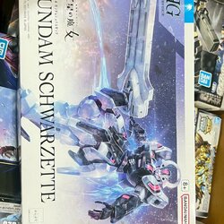 HG GUNDAM SCHWARZETTE