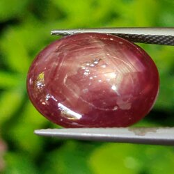 พลอย ทับทิม สตาร์ แซฟไฟร์ Ruby Star Sapphire 10.17 กะรัต (Cts.) พลอยแท้ อัญมณีมงคลประจําวันเกิด เครื่องประดับพลอย