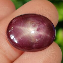 พลอย ทับทิม สตาร์ แซฟไฟร์ Ruby Star Sapphire 14.76 กะรัต (Cts.) พลอยแท้ อัญมณีมงคลประจําวันเกิด เครื่องประดับพลอย