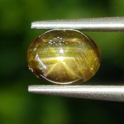 พลอย โกลเด้น สตาร์ แซฟไฟร์ Golden Star Sapphire 1.42 กะรัต (Cts.) ดิบ Unheated พร้อมใบเซอร์ พลอยแท้ อัญมณีมงคลประจําวันเกิด เครื่องประดับพลอย