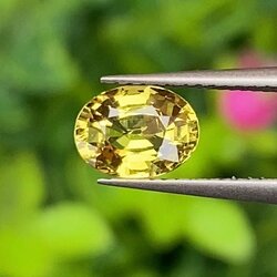 พลอย บุษราคัม yellow sapphire 1.12 กะรัต (Cts.) ดิบ (Unheated) พร้อมใบเซอร์ พลอยแท้ อัญมณีมงคลประจําวันเกิด เครื่องประดับพลอย