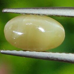 พลอย ตาแมว คริโซเบริล Cat eye Chrysoberyl 1.26 กะรัต (Cts.) พลอยแท้ อัญมณีมงคลประจําวันเกิด เครื่องประดับพลอย