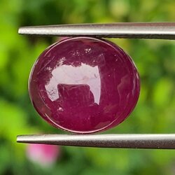 พลอย ทับทิม (Ruby Sapphire) 7.43 กะรัต (Cts.) พลอยแท้ อัญมณีมงคลประจําวันเกิด เครื่องประดับพลอย