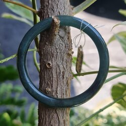 JB6711129 หยก พม่า แท้ Jade กำไลหยก 52.4 มม. (Jadeite bracelet) พม่า (Myanmar)